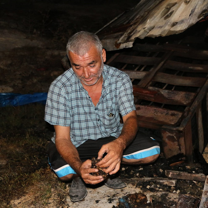 Barakadaki 90 güvercin yanarak öldü