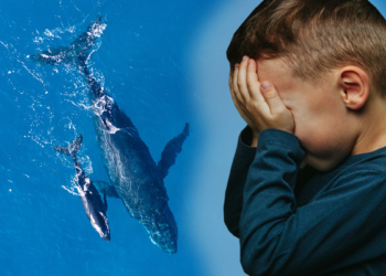 Dijital oyun bağımlılığı için önlemler