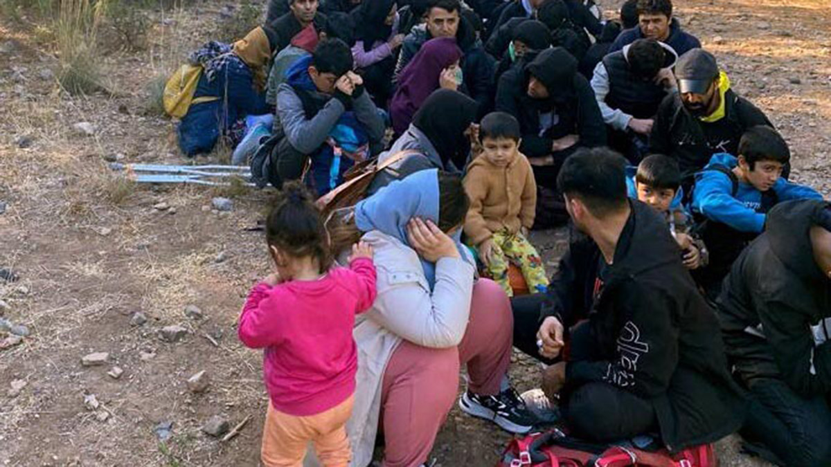 Ormanda 68 kaçak göçmen yakalandı