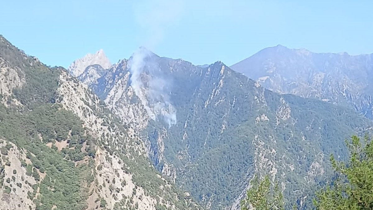 Osmaniye'de orman yangını