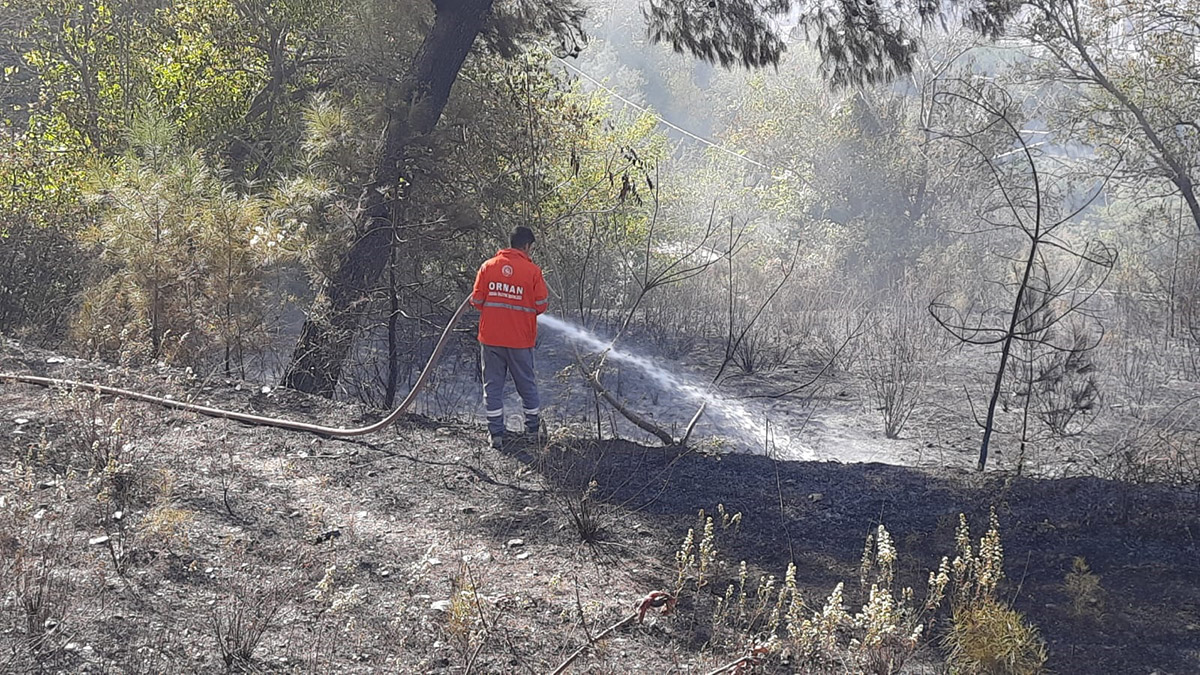 Düziçi'nde ormanlık alanda yangın