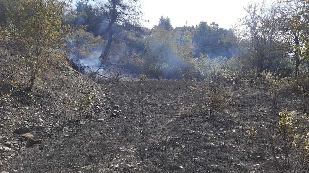 Osmaniye'de orman yangını: 50 dekar alan zarar gördü