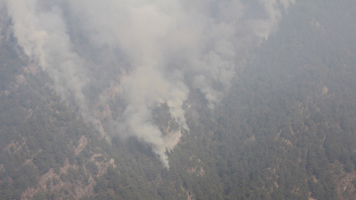 Osmaniye'deki orman yangını kontrol altına alındı