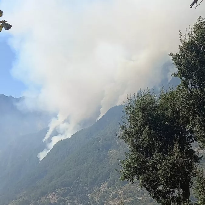 Osmaniye'deki orman yangını kontrol altına alındı