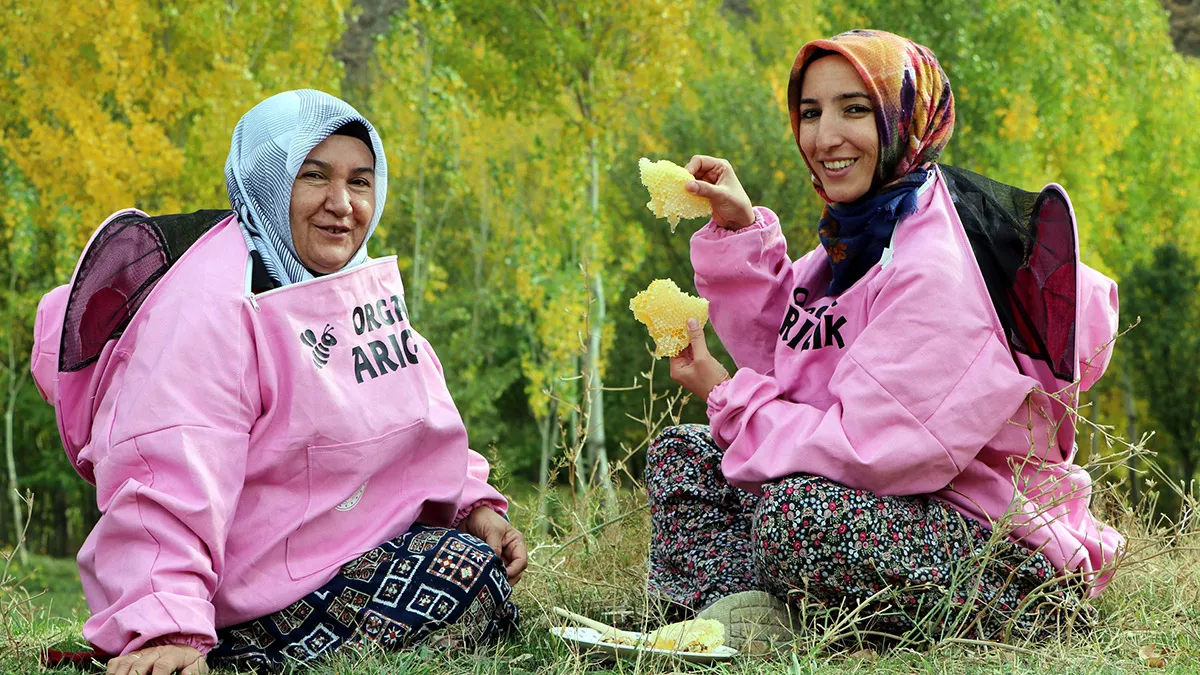 Van'ın gevaş ilçesinin yaklaşık 2 bin rakımlı bölgesinde kadınlar tarafından üretilen sepet kara kovan balın hasadına başlandı.