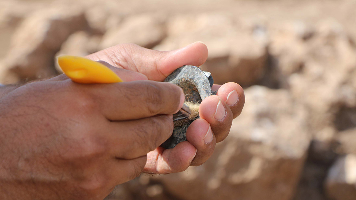 Adıyaman'daki Perre Antik Kenti'nde yürütülen kazı çalışmalarında, Roma ordusunda başarılı olmuş askerlere ve birliklere verilen 1800 yıllık bronz madalya bulundu.