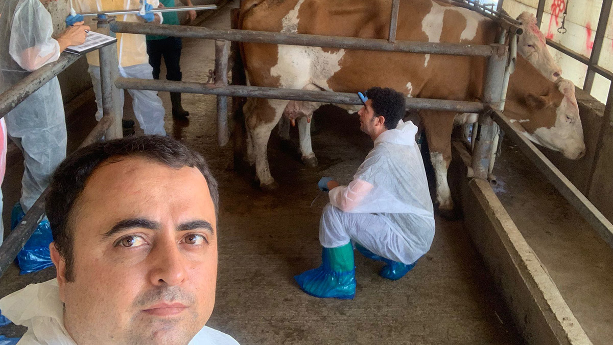 Tarım ve Orman Bakanlığı Hayvancılık Genel Müdürlüğü, hayvanların gen özelliklerinden faydalanarak damızlık değer tespitinin yapıldığı 'Genomik Seleksiyon' çalışmalarını sürdürüyor.