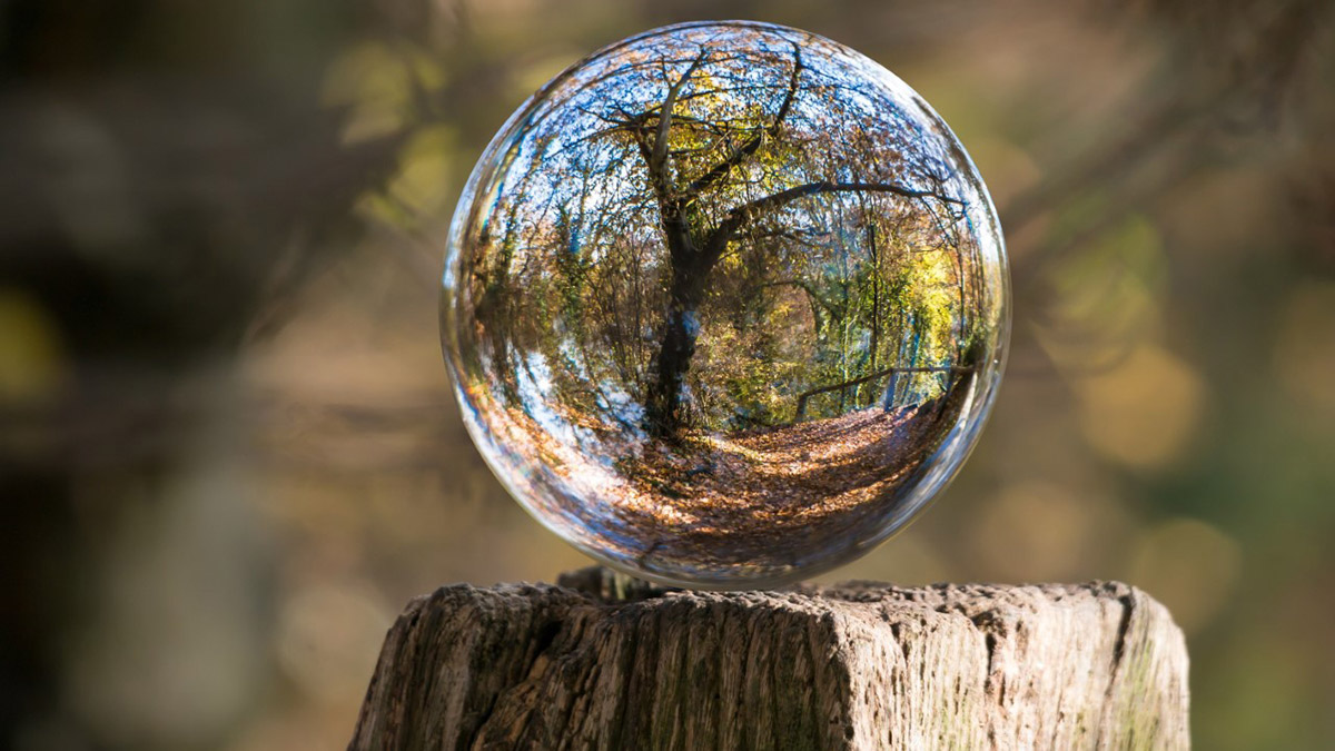 Sürdürülebilirlik yatırımlarının 50 trilyon dolara ulaşacağı tahmin ediliyor