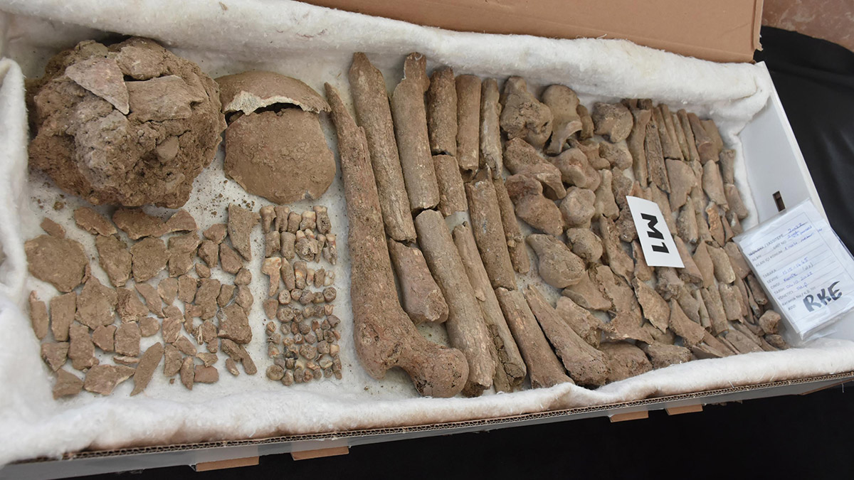 Yunan Miken Uygarlığı'na ait mezar alanı bulundu