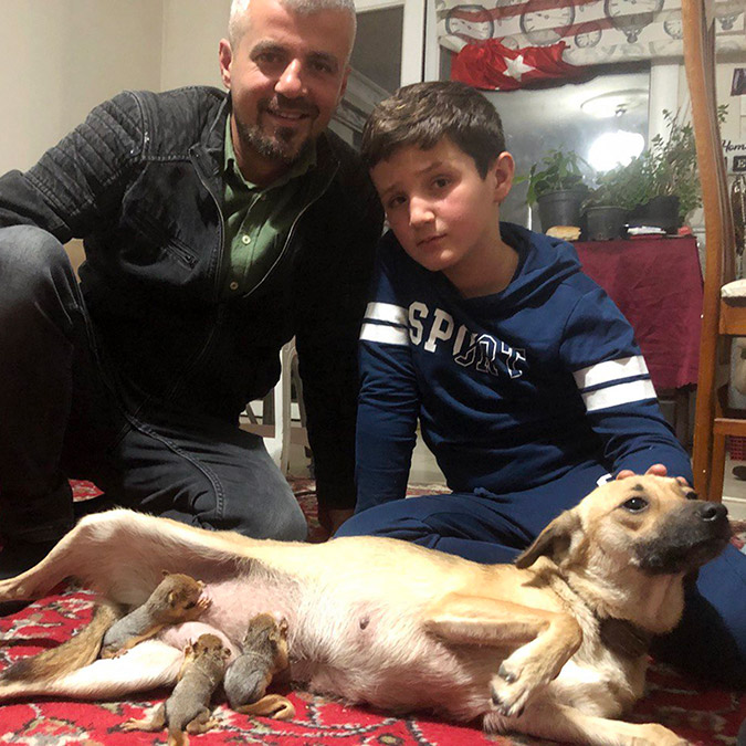 Zeyna sincapları yavruları gibi emziriyor