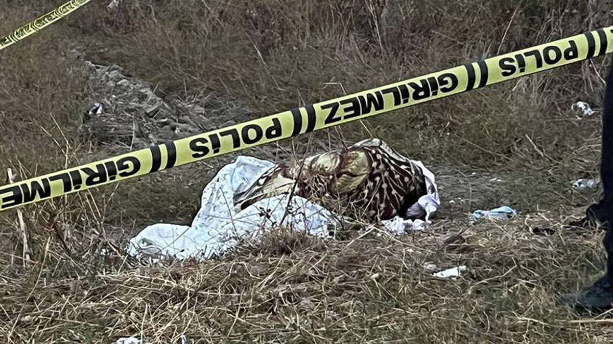 Battaniyeye sarılı elleri bağlı kadın cesedi bulundu