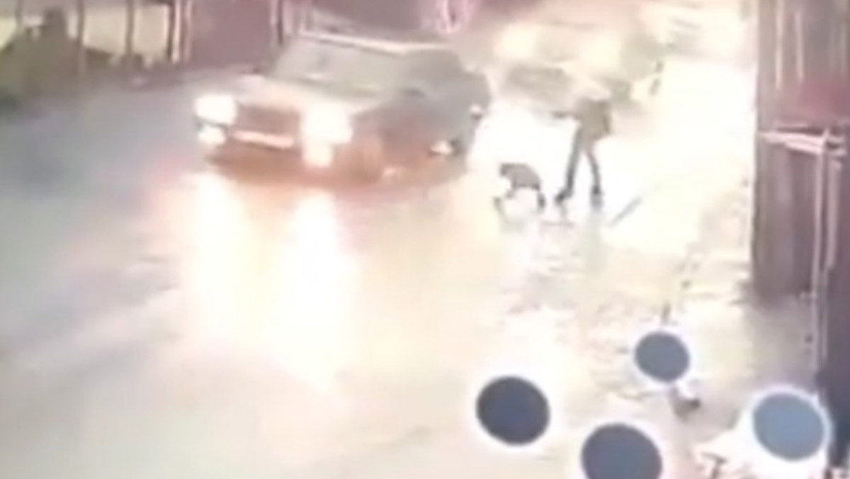 10 yaşındaki çocuğa pitbull saldırdı   