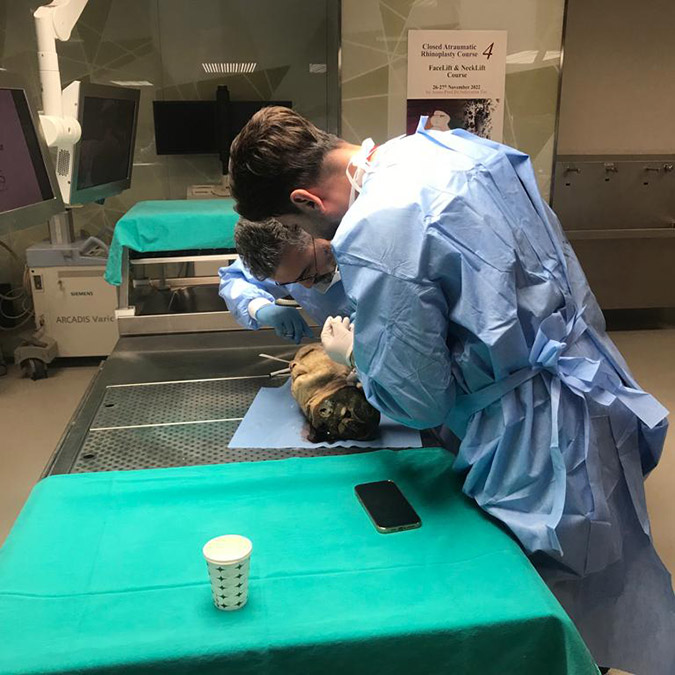 Taş Hastanesi’nin açılışı, bu yıl 4’üncüsü düzenlenen Yüz Germe, Boyun Germe ve Kapalı Atravmatik Rinoplasti kursu ile gerçekleştirildi. Böylece ilk kez bir hastane bilimsel kurs ile açılmış oldu.