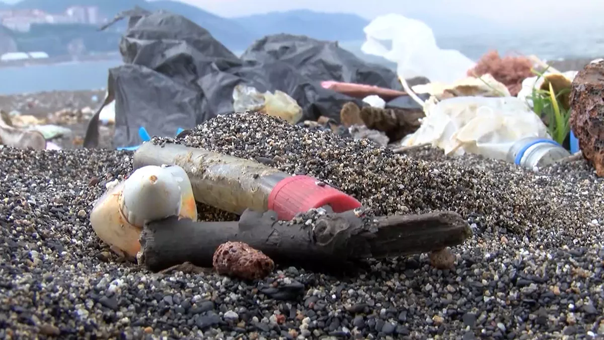 Mikroplastik kirliliği deniz canlılarını tehdit ediyor
