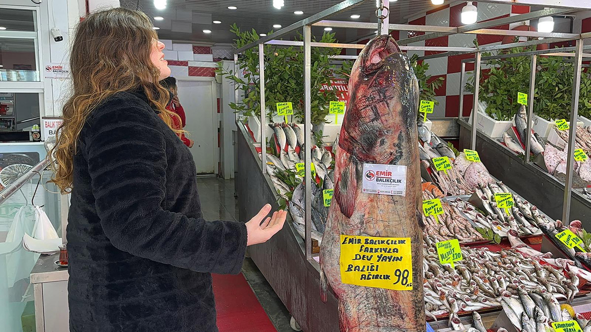 98 kilo ağırlığındaki yayın balığı ilgi gördü