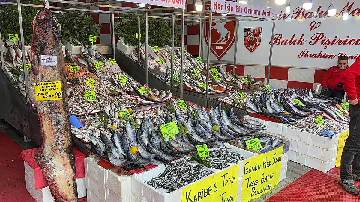 98 kilo ağırlığındaki yayın balığı ilgi gördü