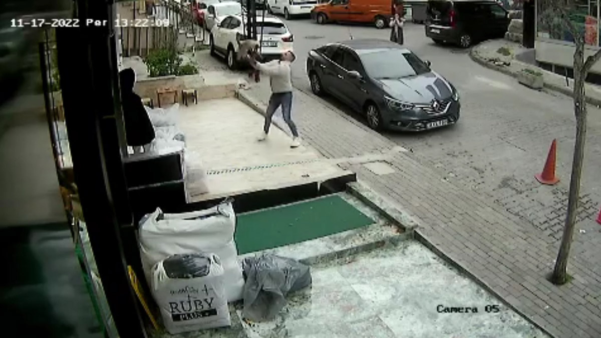 3. kattan düşen kediyi havada yakaladı