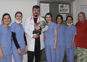 710 gram doğan Arden bebek yaşama tutundu
