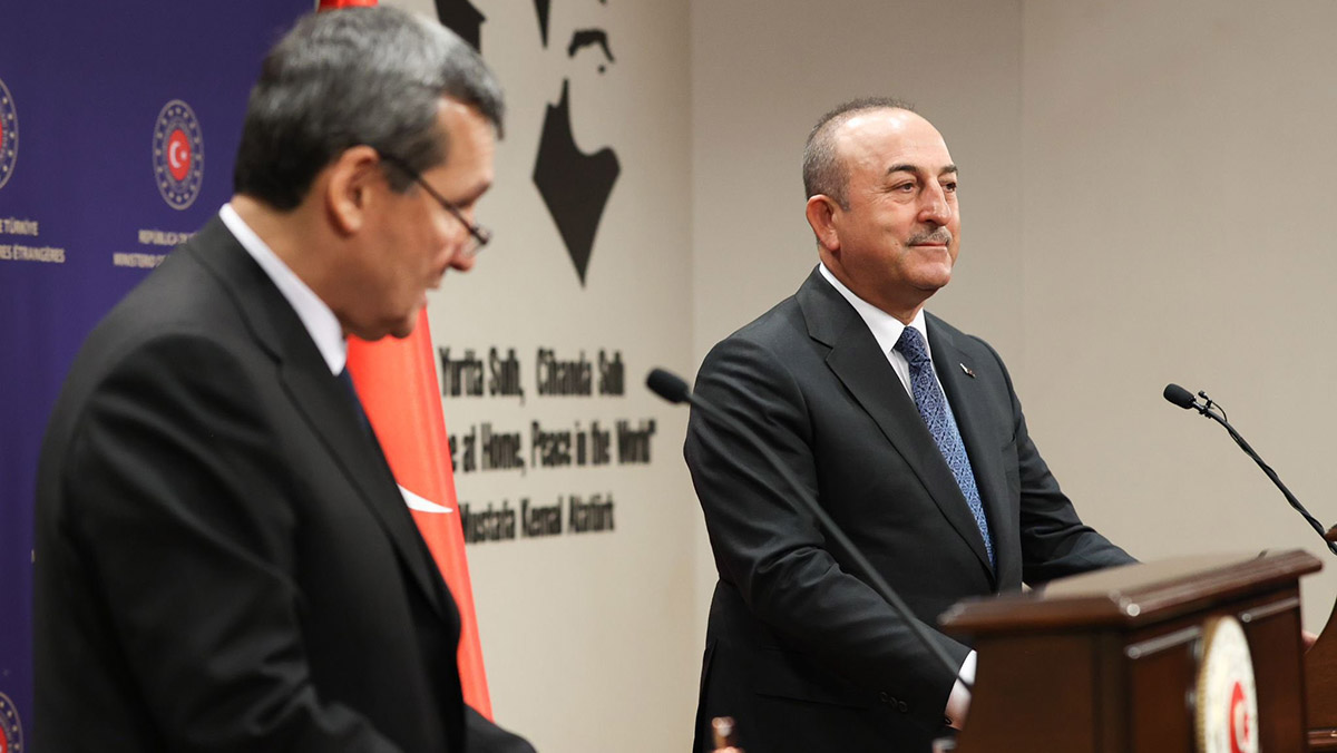 Arzumuz Türkmenistan'ın TDT'ye tam üye olması