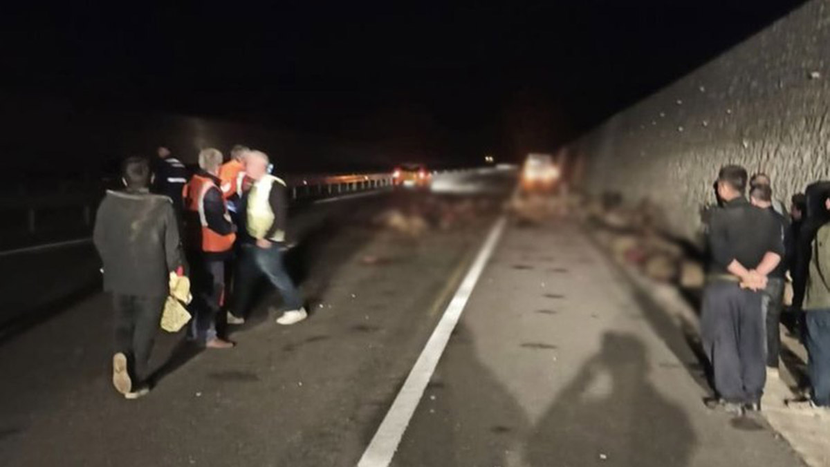 Batman'da tankerin çarptığı 70 koyun öldü