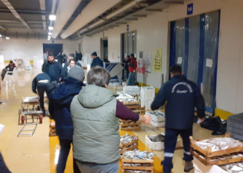 Beylikdüzü'nde av yasağını delen 9 balıkçıya ceza