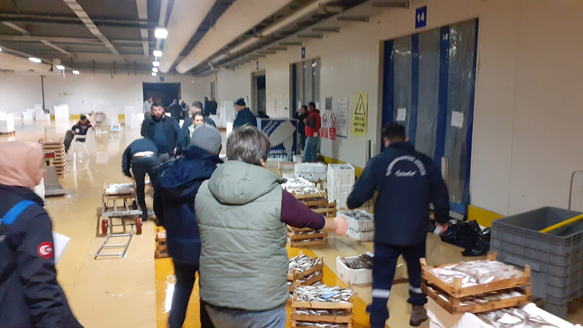 Beylikdüzü'nde av yasağını delen 9 balıkçıya ceza