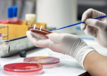 Bitkilerde su stresine karşı önleme çalışmaları
