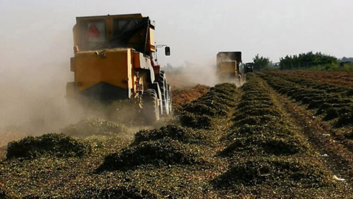 Çiftçilerin dijital teknolojilere ilgisi hızla artıyor