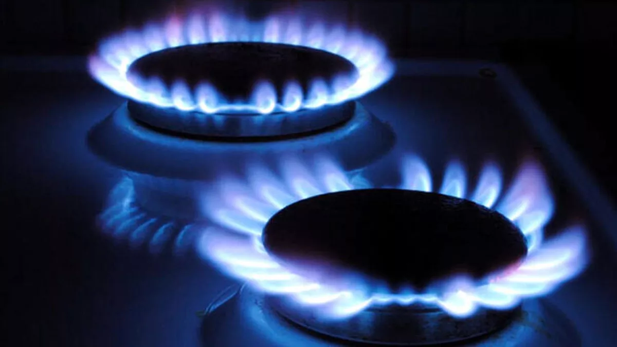 Doğal gazın asgari ücret içindeki payı yüzde 8,4 