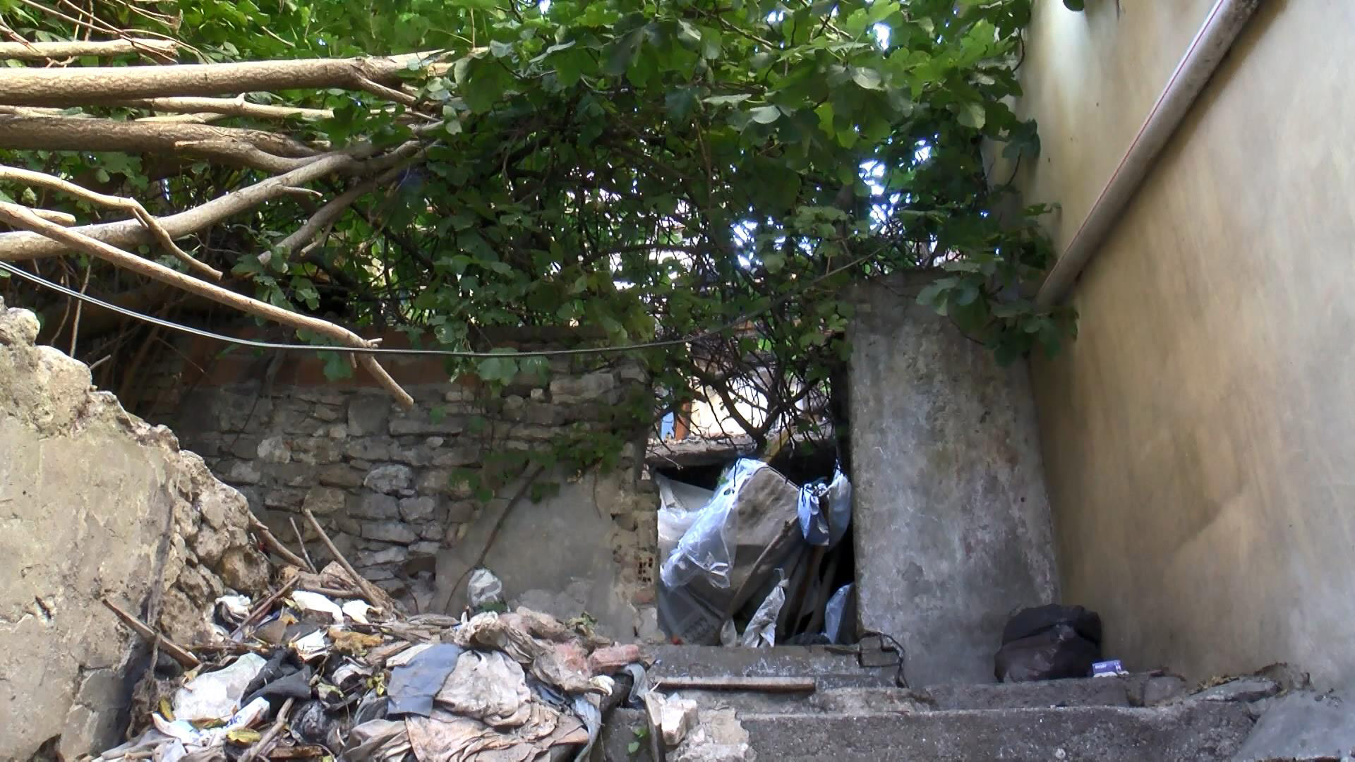 Fatih'te metruk binada kafatası bulundu