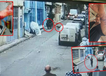 Husumetlisi, pitbull köpeğini üzerine saldırttı
