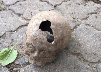 İnşaat kazısında insan kafatası ve kemikleri bulundu