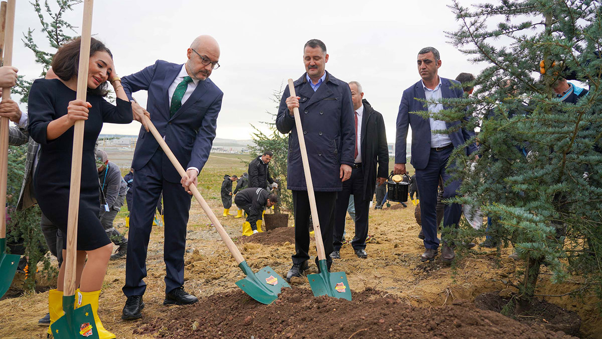 İstanbul Havalimanı'nda 2 bin 500 adet fidan dikildi