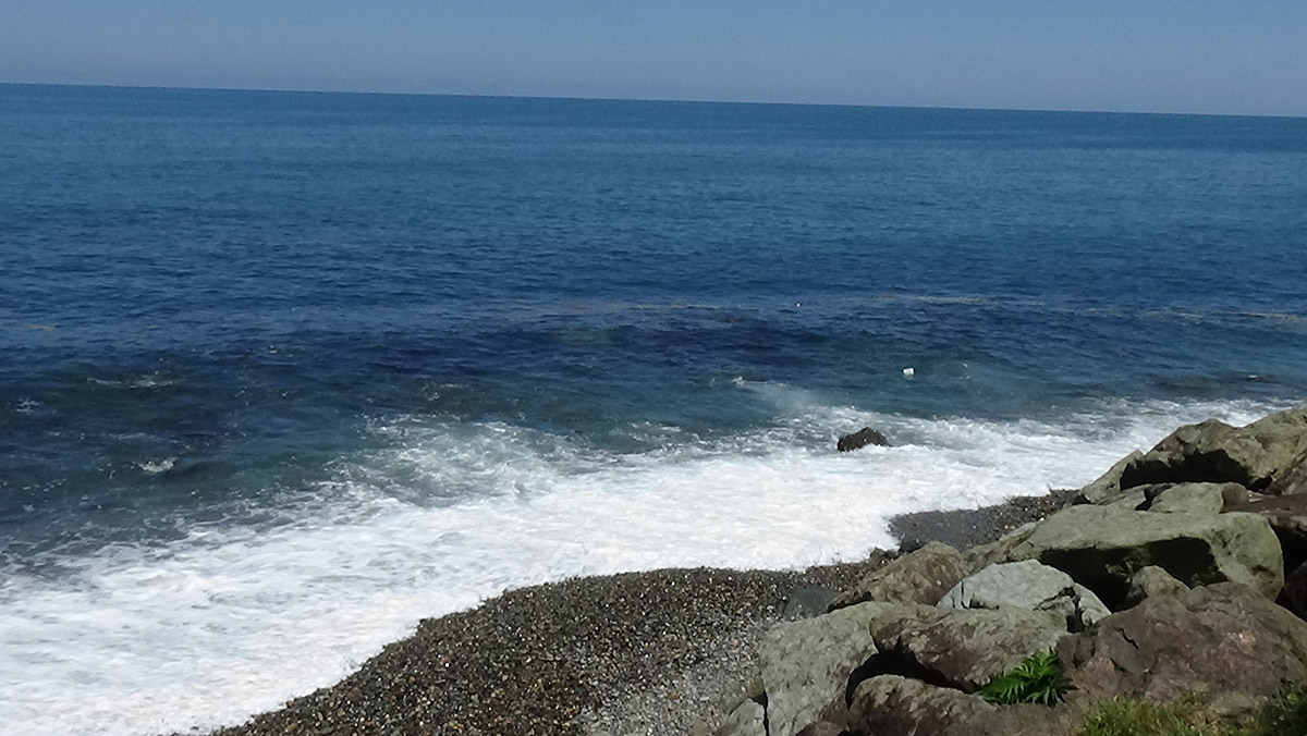 Karadeniz'de 'ağır metal kirliliği' tehlikesi