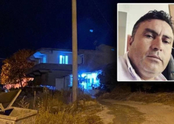 Kayınvalidesi ve kayınbiraderini öldüren damat aranıyor