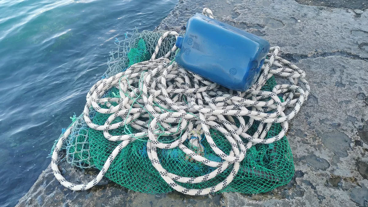 Marmarada kacak avlanan 1 ton midye ele gecirildi v - yaşam - haberton