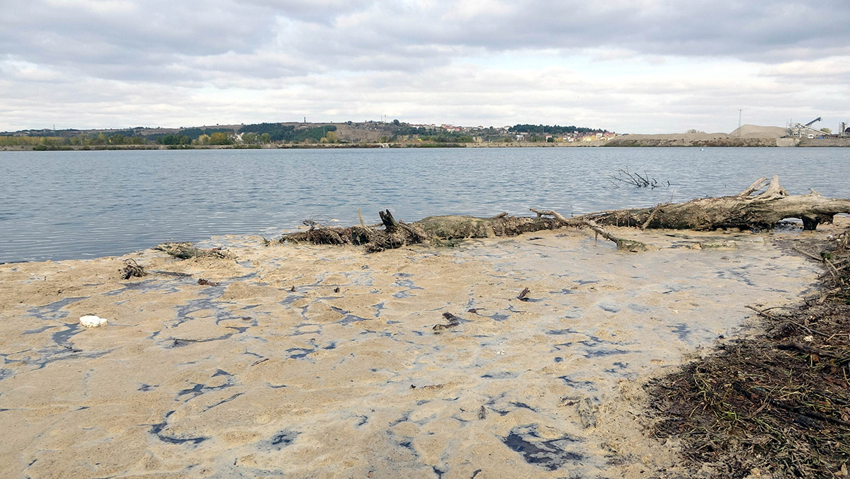 Meriç Nehri'nde görülen beyaz köpükler inceleniyor