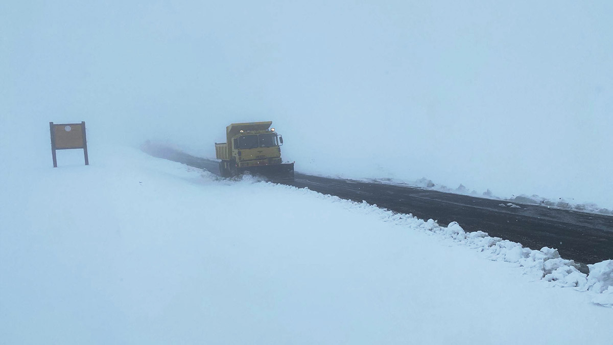 Muş'ta mevsimin ilk karı etkili oldu