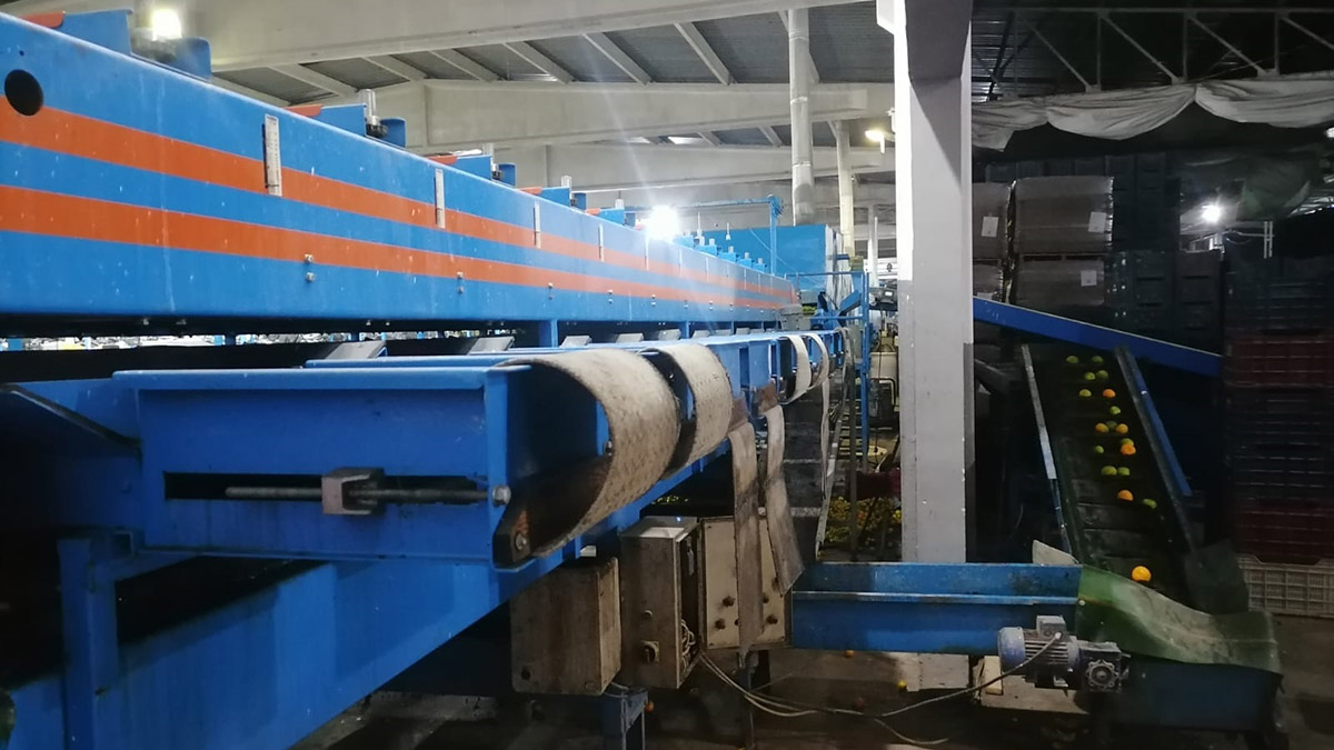 Paketleme makinesine kapılan Dicle öldü