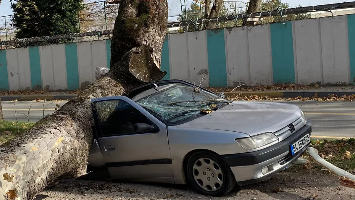 Sakarya'da lodos; otomobilin üzerine ağaç devrildi
