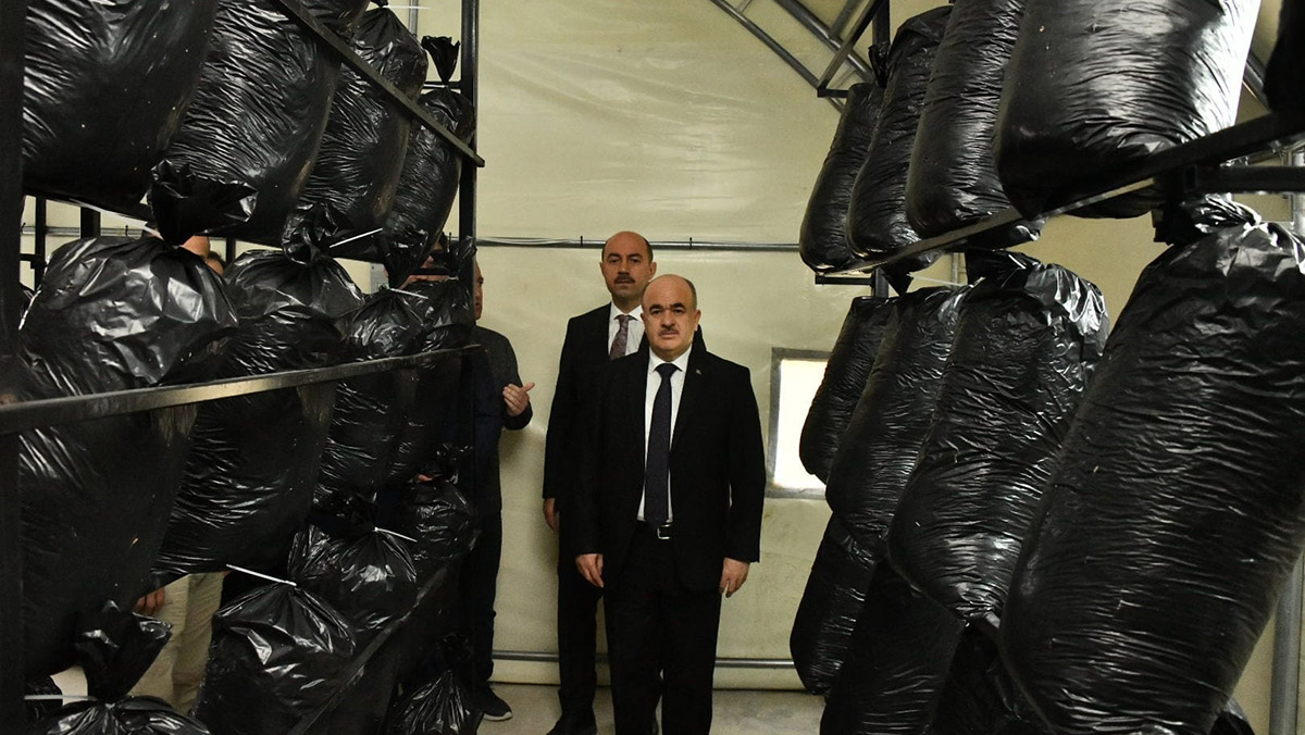 Samsun'da 71 mantar zehirlenmesi vakası oldu