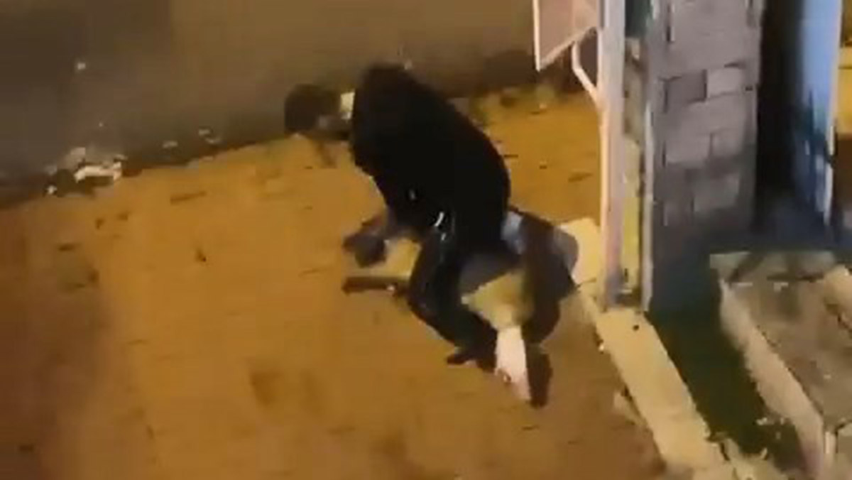 Sarıyer'de köpeği boğmaya çalıştı