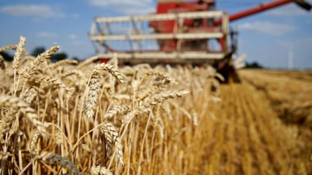 TÜİK: Tarımsal girdi fiyat endeksi eylülde arttı