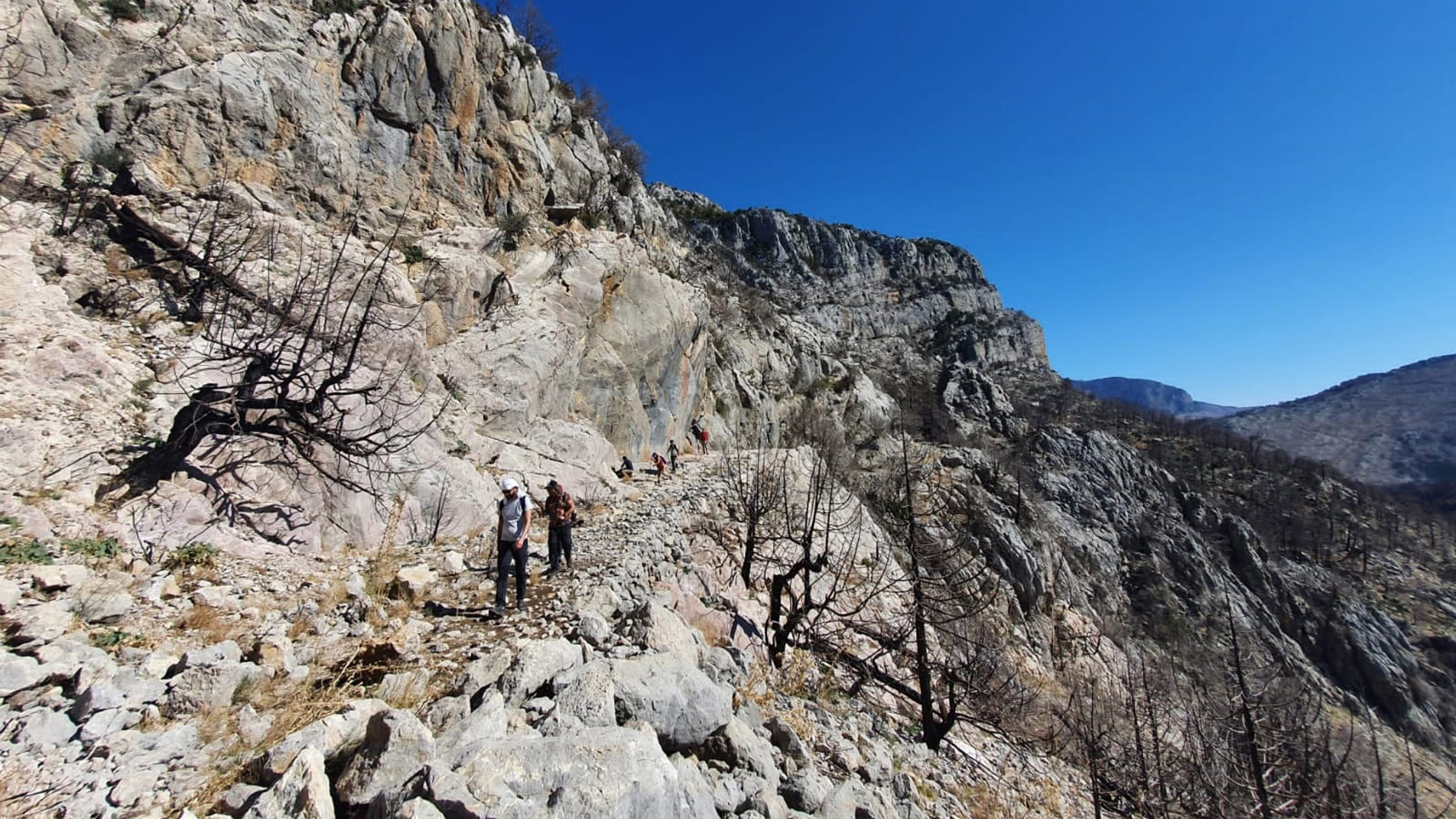 Tarihi kervan yolunu, tomruk araçları tahrip etti