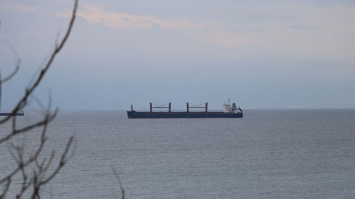 Tekirdağ'da karaya oturan yük gemisi kurtarıldı