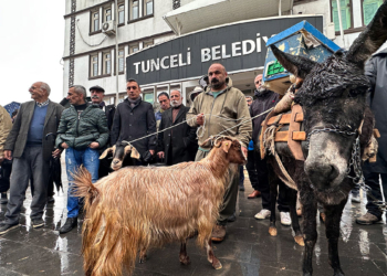 Tunceli Belediyesi önünde eşekli ve keçili protesto