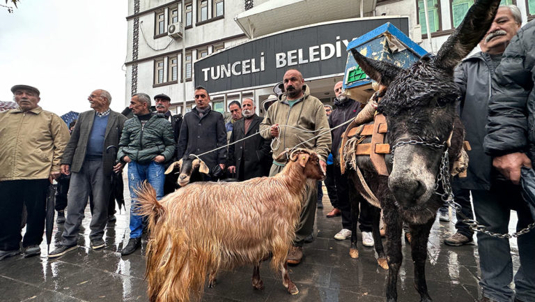 Tunceli Belediyesi önünde eşekli ve keçili protesto