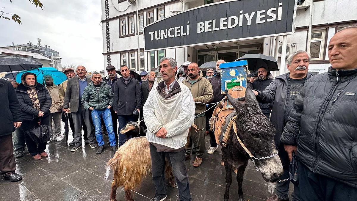 Tunceli belediyesi onunde esekli ve kecili protestoa - yerel haberler - haberton