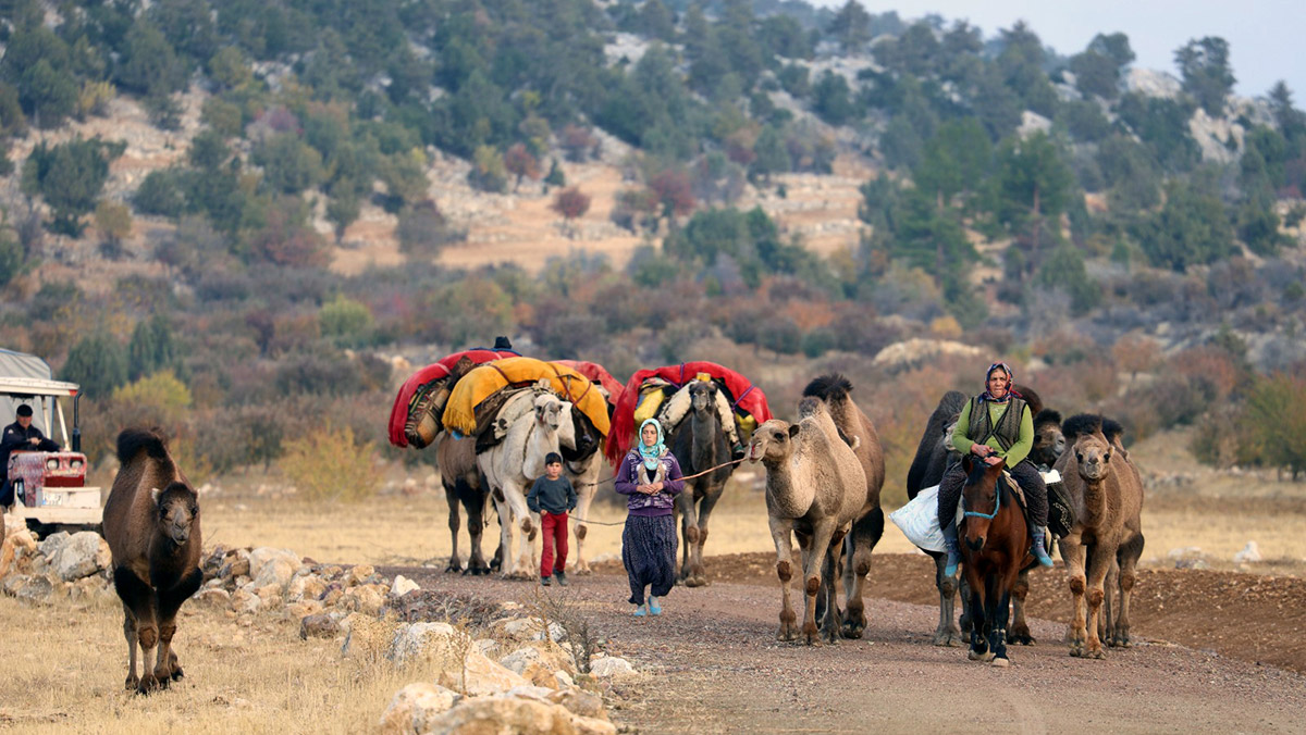 Yörüklerin 'kış yurdu' göçü