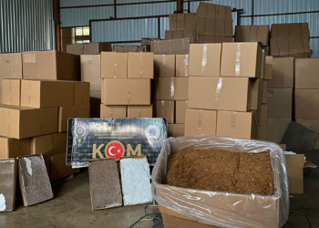 31 bin 600 kilogram kıyılmış tütün ele geçirildi
